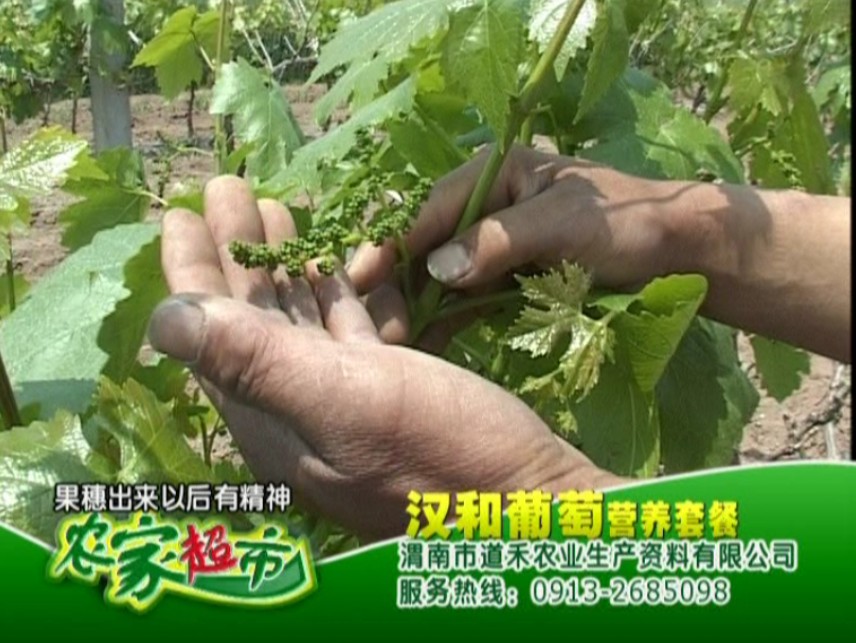 屈進(jìn)虎2.jpg